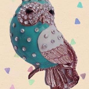 Betsey Johnson Jewelry - Betsey Johnson Teal Enamel and Crystal Owl Betsey Johnson Jewelry - Betsey Johnson Teal Enamel and Crystal Owl